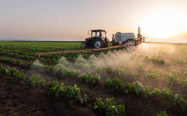 Best Pest Inspection Near Me  in Plainview, MN