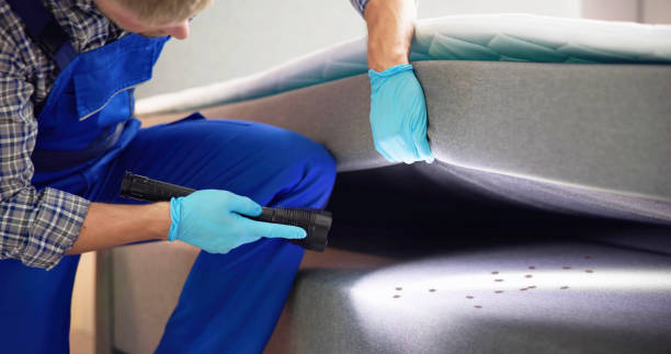 Best Bed Bug Extermination  in Plainview, MN