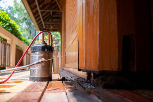 Best Pest Removal Services  in Plainview, MN
