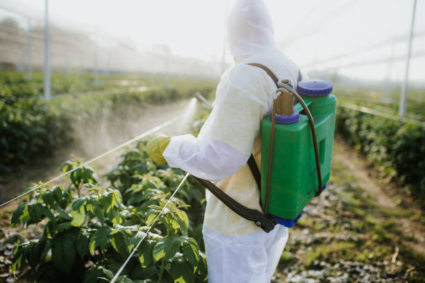 Best Residential Pest Control  in Plainview, MN